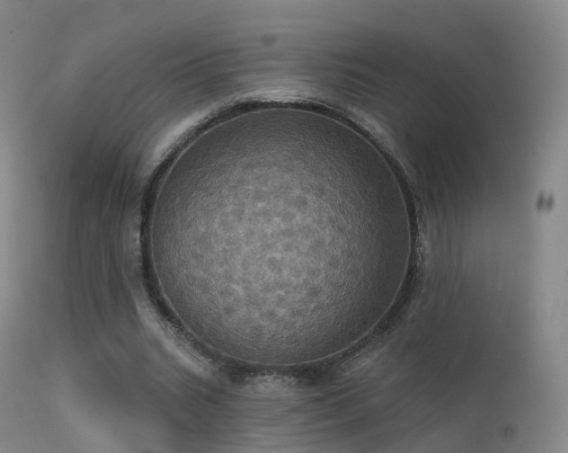 X0000113230535200909171541