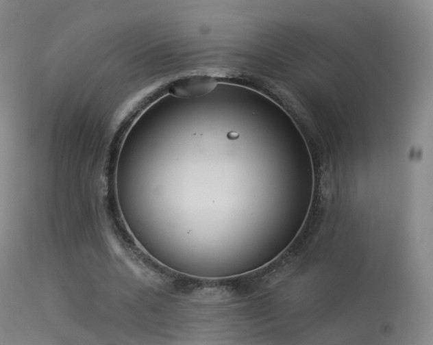 X0000113230536200909171541