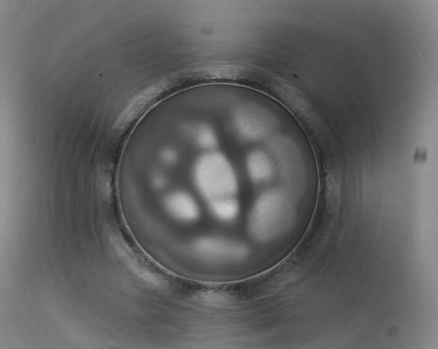 X0000113230537200909171541