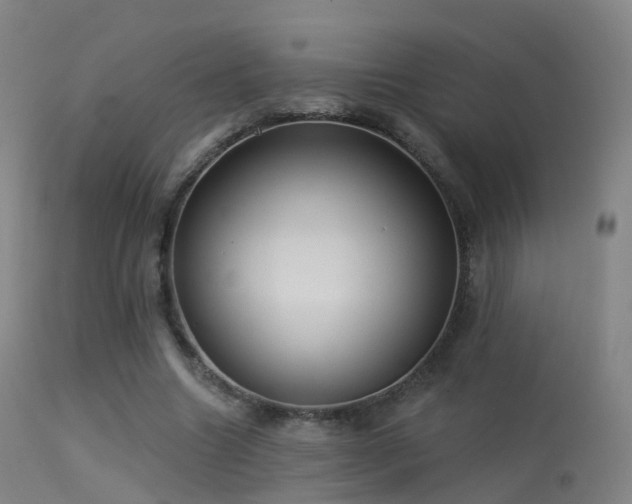 X0000113230538200909171541