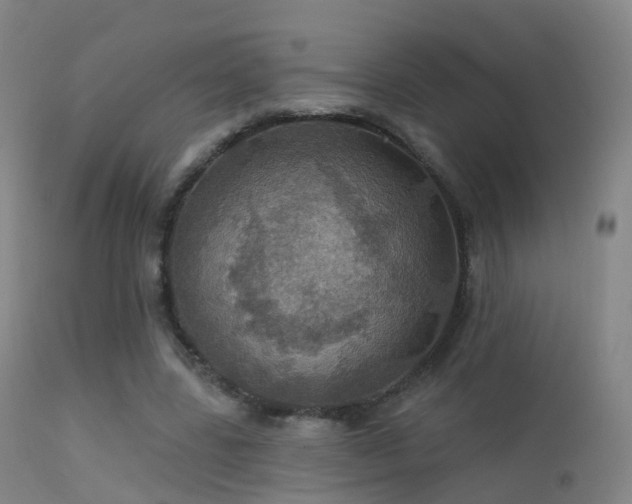 X0000113230539200909171541