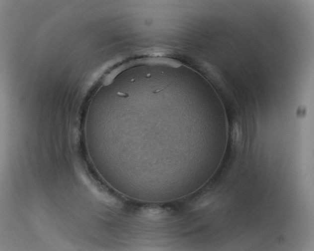 X0000113230540200909171541