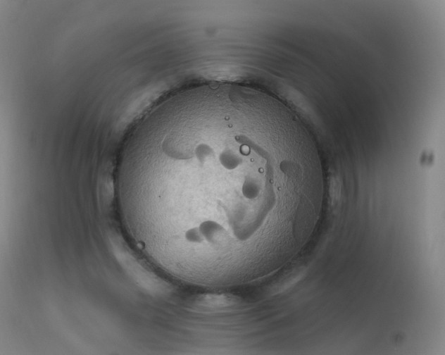 X0000113230541200909171541