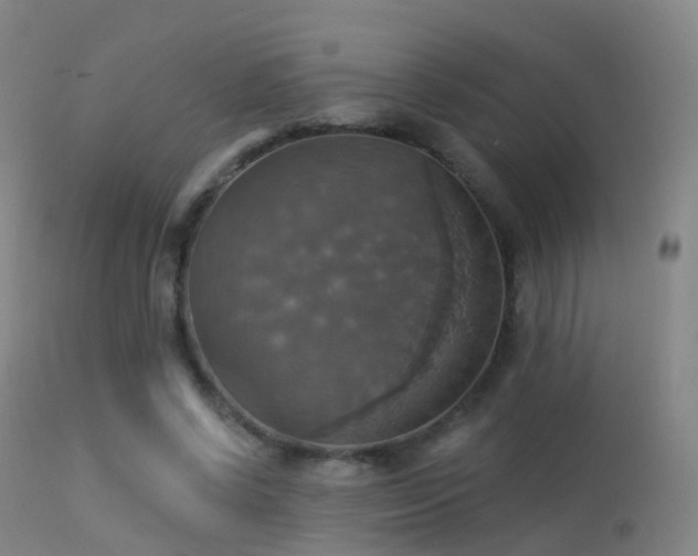 X0000113230542200909171541