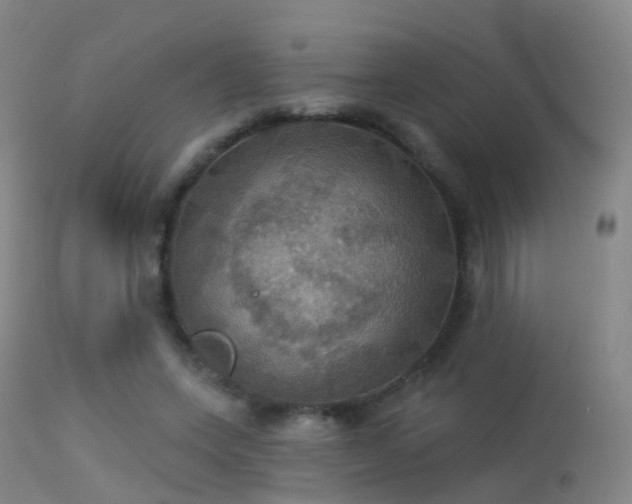 X0000113230543200909171541