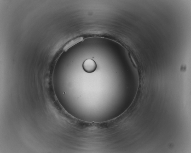 X0000113230544200909171541