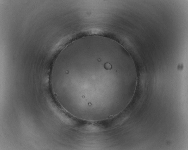 X0000113230545200909171541