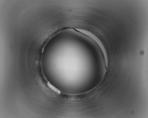 X0000113230546200909171541