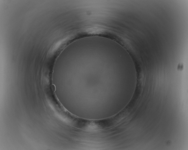 X0000113230547200909171541