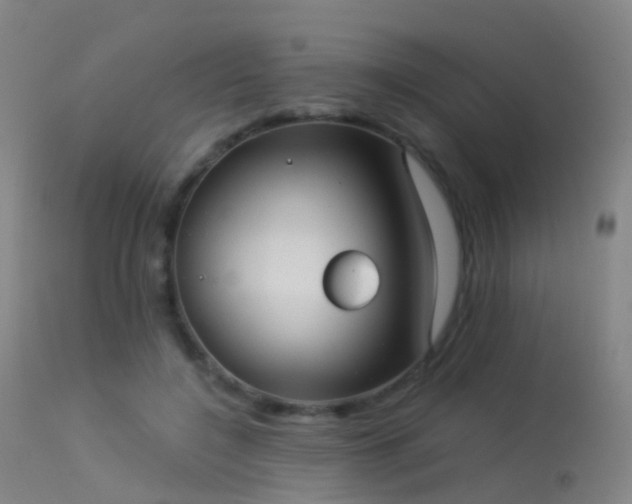 X0000113230548200909171541