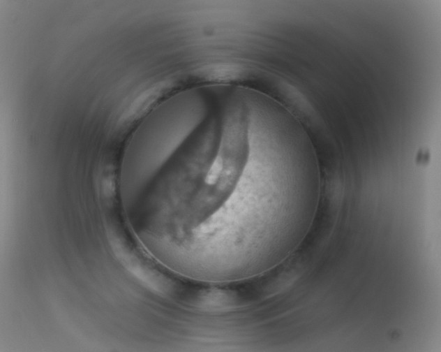 X0000113230549200909171541