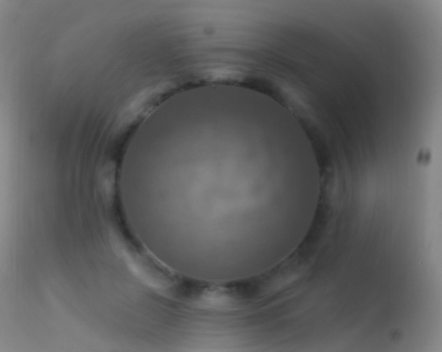 X0000113230550200909171541