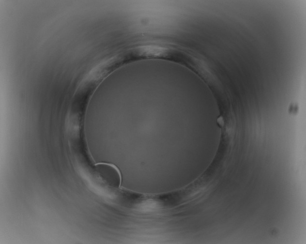 X0000113230551200909171541