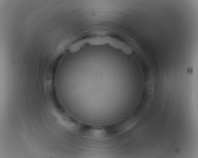 X0000113230552200909171541