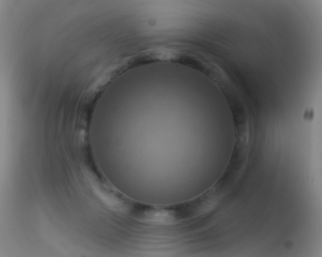 X0000113230553200909171541