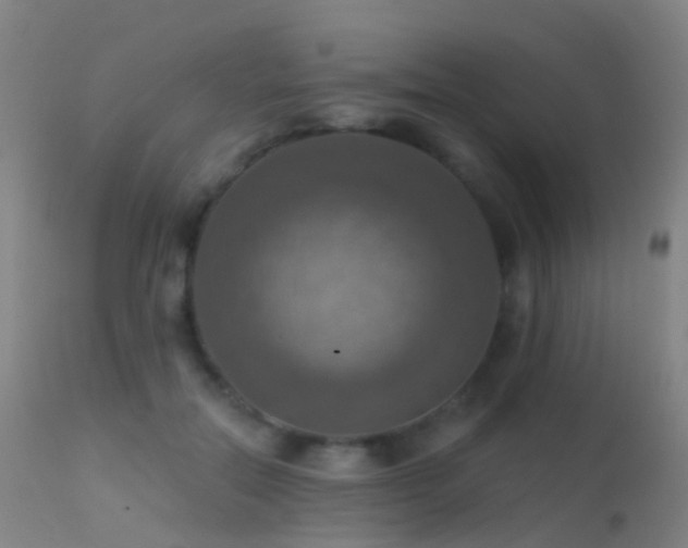 X0000113230554200909171541