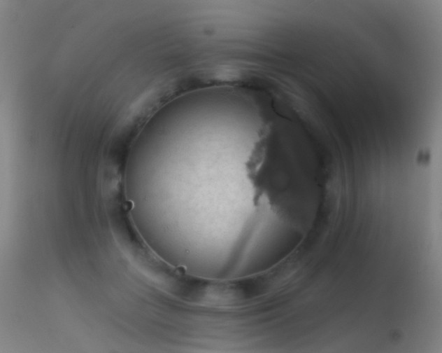 X0000113230555200909171541