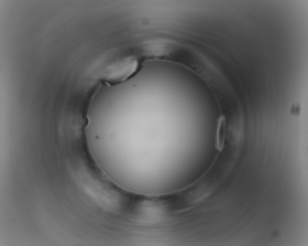 X0000113230556200909171541