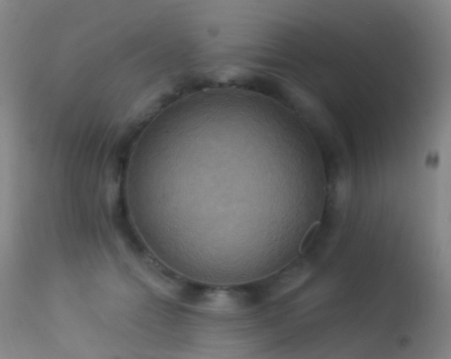 X0000113230558200909171541