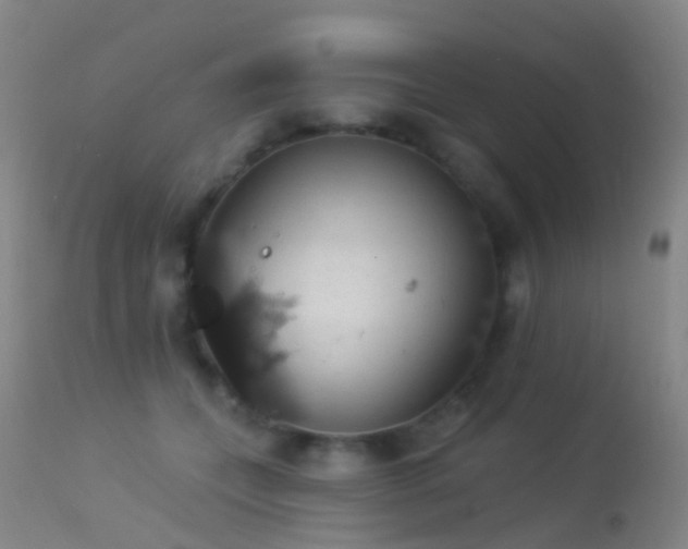 X0000113230559200909171542