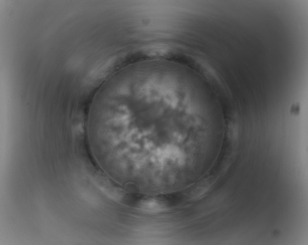 X0000113230561200909171542