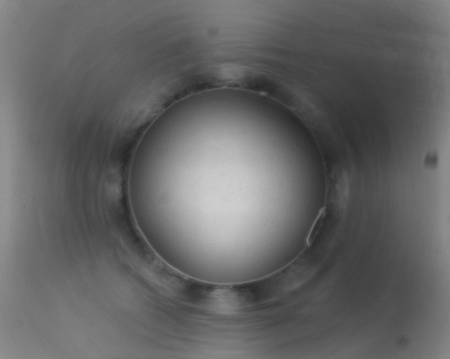 X0000113230562200909171542