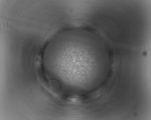 X0000113230563200909171542