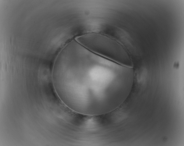 X0000113230564200909171542