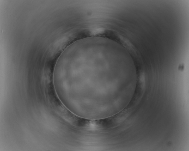 X0000113230565200909171542