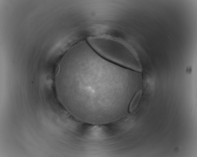 X0000113230566200909171542