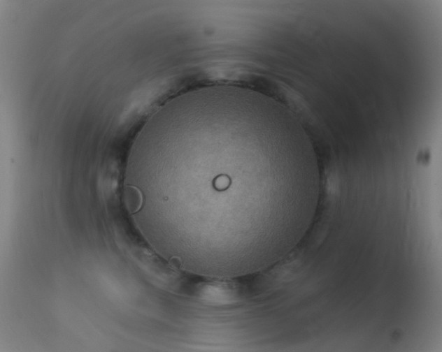 X0000113230567200909171542