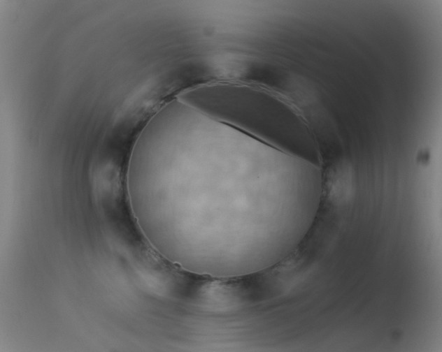 X0000113230568200909171542