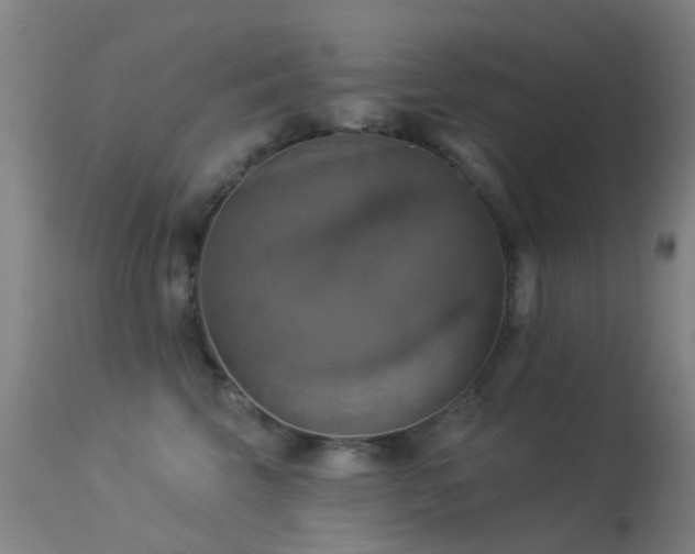 X0000113230569200909171542