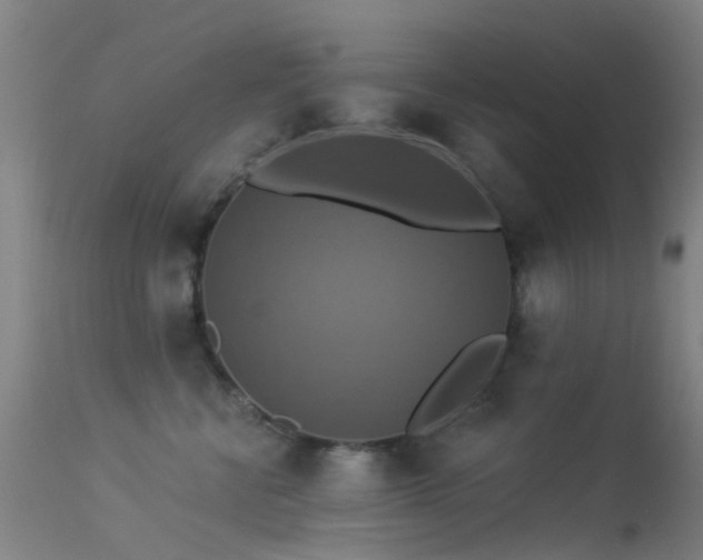 X0000113230570200909171542