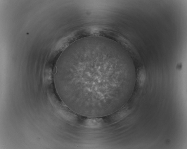 X0000113230571200909171542