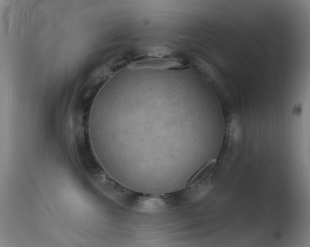 X0000113230572200909171542