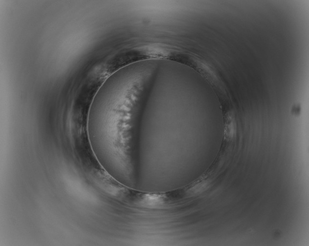 X0000113230573200909171542