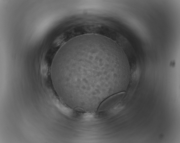 X0000113230574200909171542