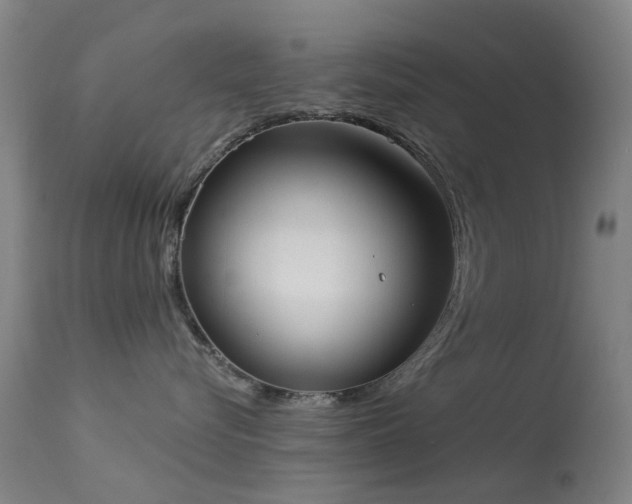 X0000113230576200909171542