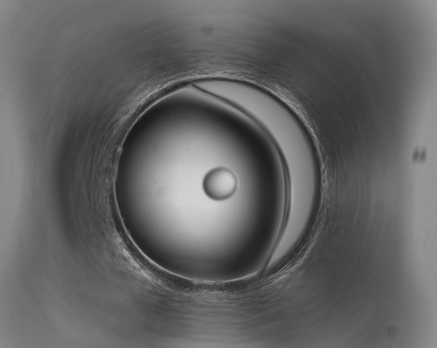 X0000113230577200909171541