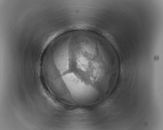 X0000113230578200909171541