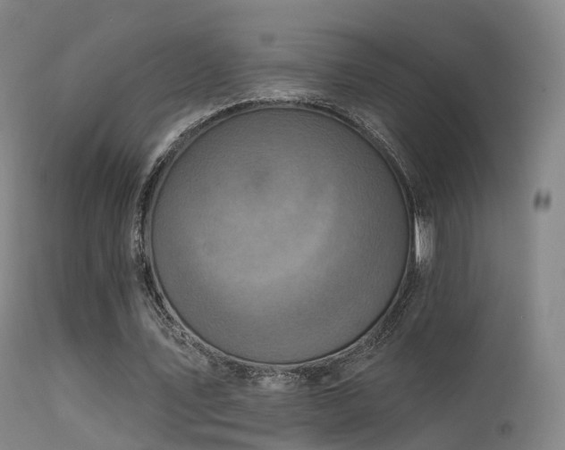 X0000113230579200909171541