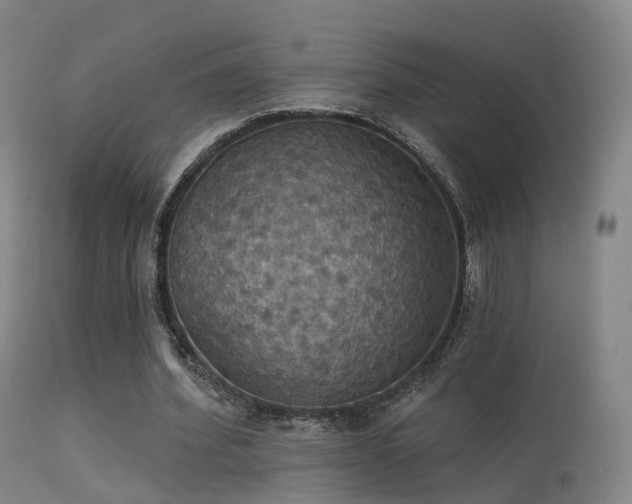 X0000113230580200909171541