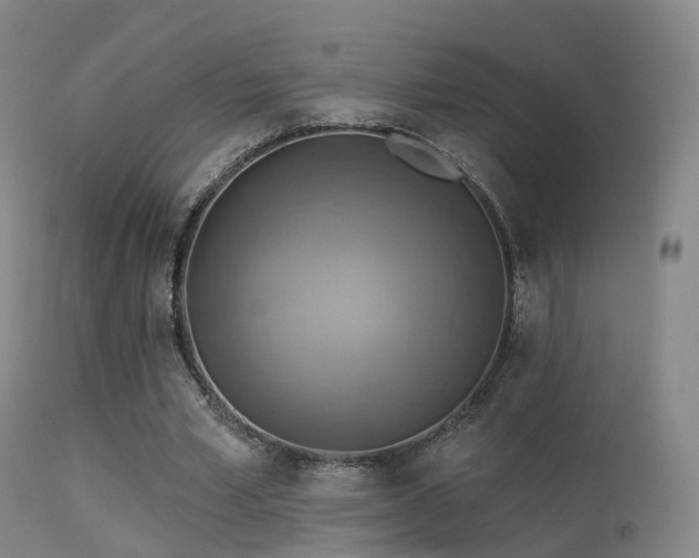 X0000113230581200909171541