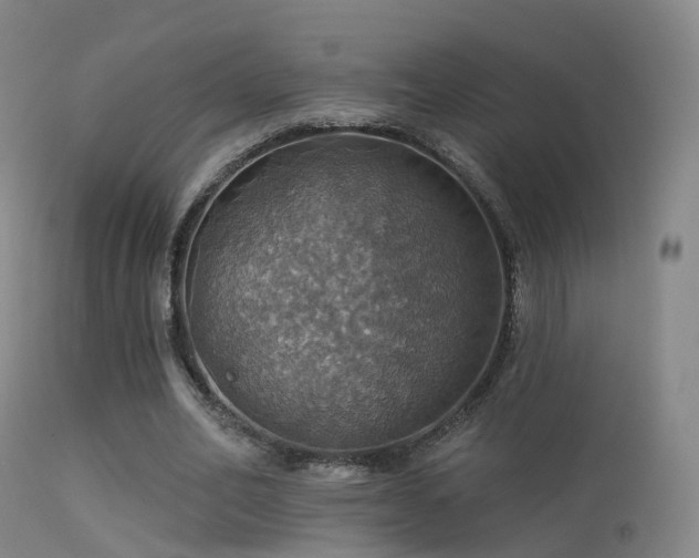 X0000113230582200909171541