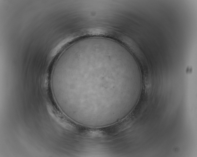 X0000113230583200909171541