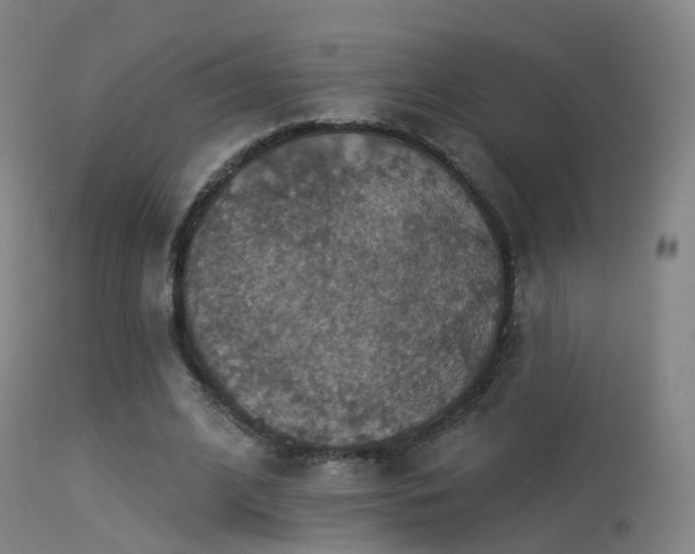 X0000113230584200909171541