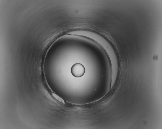 X0000113230585200909171541