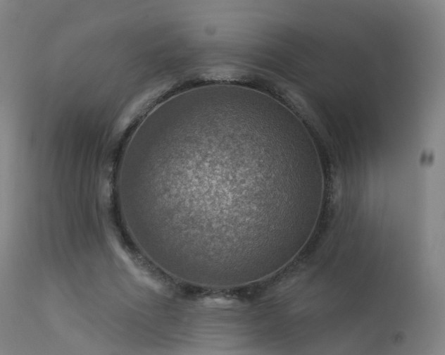 X0000113230586200909171541