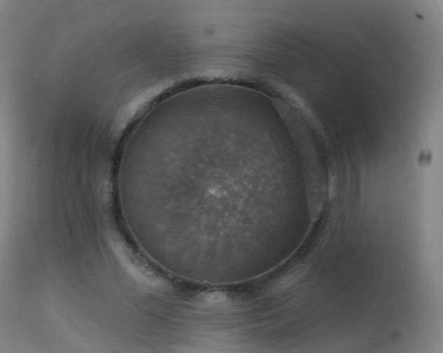 X0000113230588200909171541